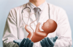 苏州助孕包性别中心|杭州供卵试管助孕公司包成功