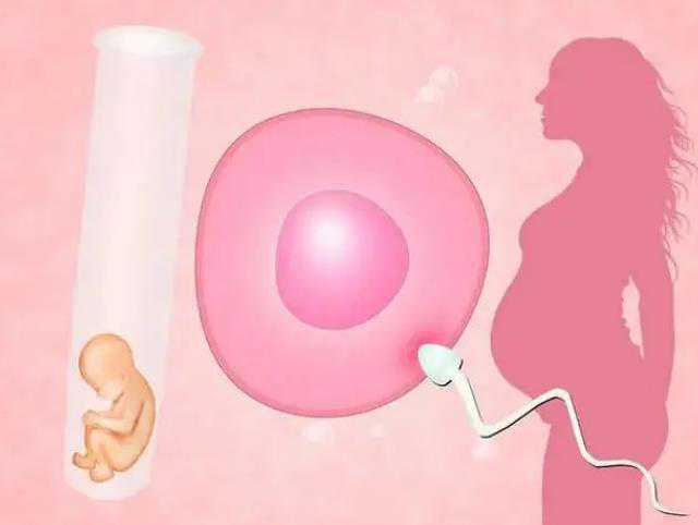 苏州三代供卵公司,子宫内膜厚会影响试管婴儿移植成功率么-上海正规供卵试管