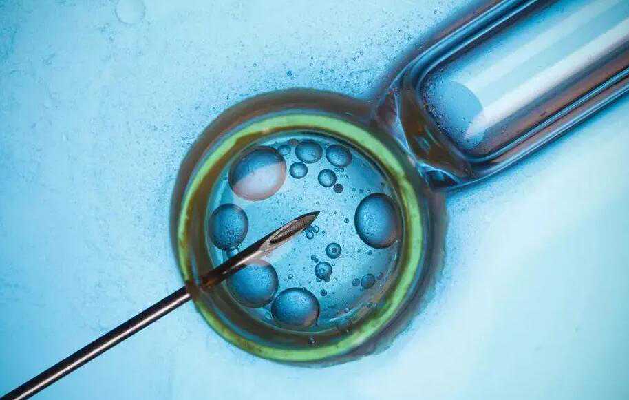 苏州试管可以代孕吗 最新苏州试管婴儿医院排名 ‘孕囊大小约1.3×1.0是男孩女